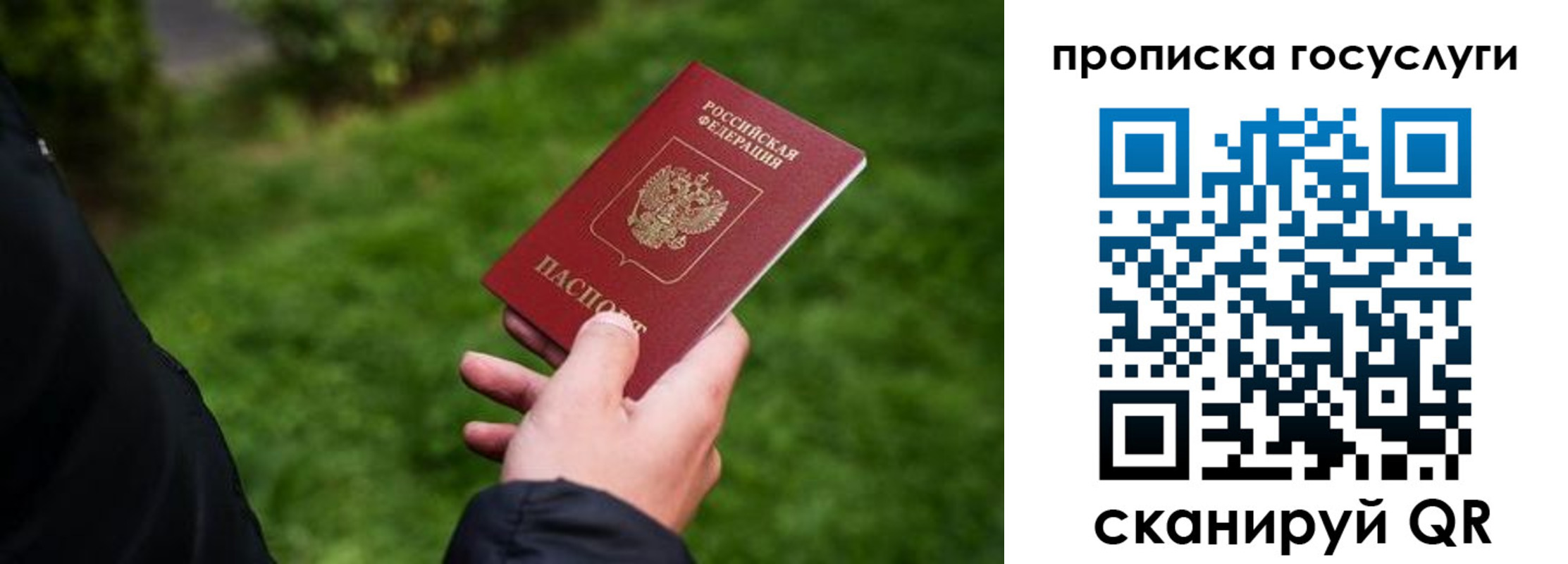 прописка для работы в Каменке